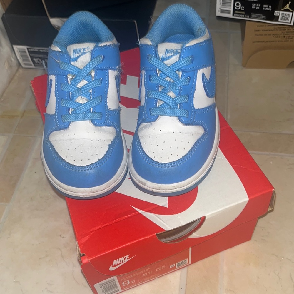 Toddlers Nike Dunks